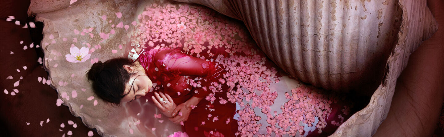 ส่วนบนสุดของเว็บไซต์